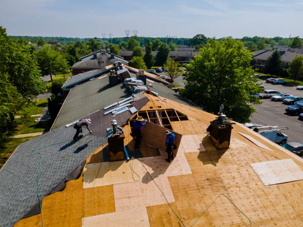 Roof Gutter Cleaning in Papillion, NE